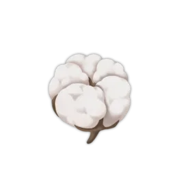Cotton