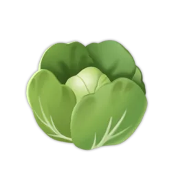 Lettuce