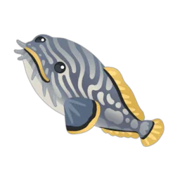 Splendid Toadfish