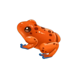 Splendid Poison Frog