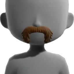 Horseshoe Mustache