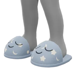 Pajama Slippers