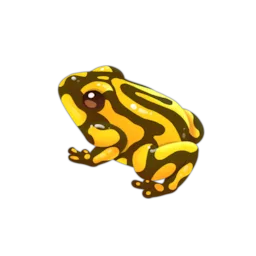 Corroboree Frog
