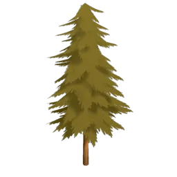 Autumn Fir Tree