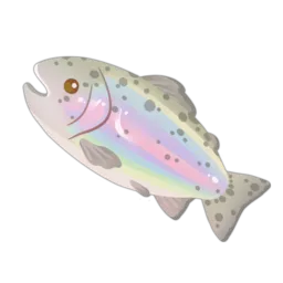 Rainbow Trout