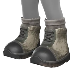 Wanderer Shoes