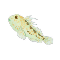 Bia Goby