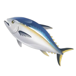 Southern Bluefin Tuna